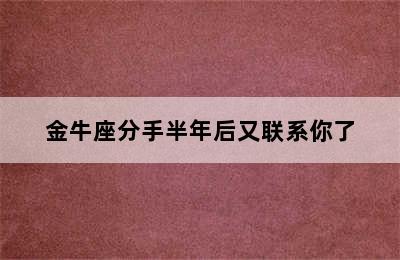 金牛座分手半年后又联系你了