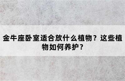 金牛座卧室适合放什么植物？这些植物如何养护？
