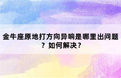 金牛座原地打方向异响是哪里出问题？如何解决？