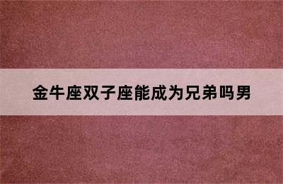 金牛座双子座能成为兄弟吗男