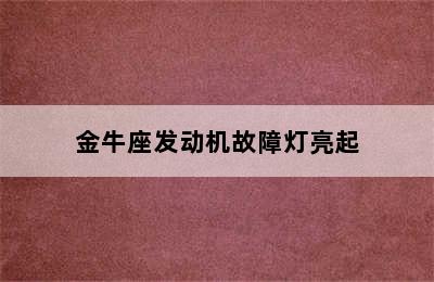 金牛座发动机故障灯亮起