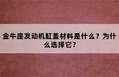 金牛座发动机缸盖材料是什么？为什么选择它？