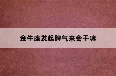 金牛座发起脾气来会干嘛