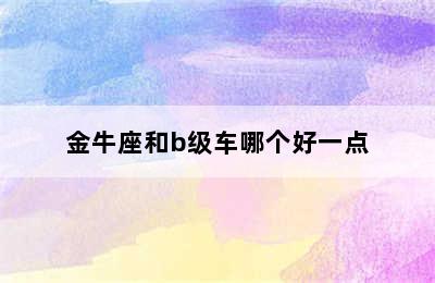 金牛座和b级车哪个好一点