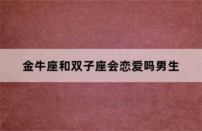 金牛座和双子座会恋爱吗男生