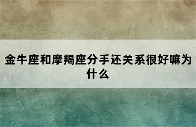 金牛座和摩羯座分手还关系很好嘛为什么