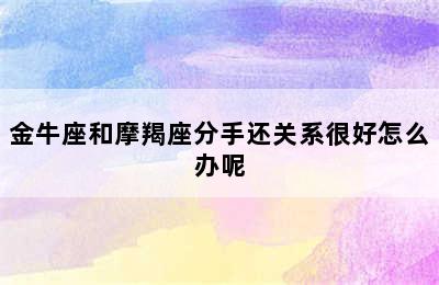 金牛座和摩羯座分手还关系很好怎么办呢