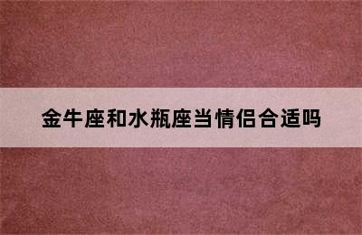 金牛座和水瓶座当情侣合适吗