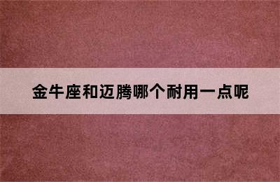 金牛座和迈腾哪个耐用一点呢