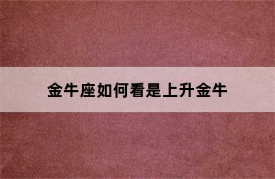 金牛座如何看是上升金牛