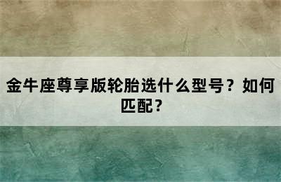 金牛座尊享版轮胎选什么型号？如何匹配？