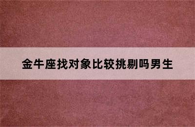 金牛座找对象比较挑剔吗男生