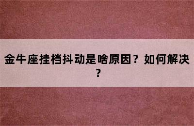 金牛座挂档抖动是啥原因？如何解决？
