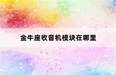 金牛座收音机模块在哪里