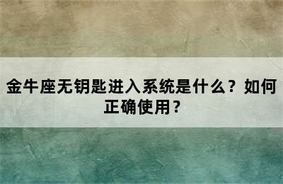 金牛座无钥匙进入系统是什么？如何正确使用？