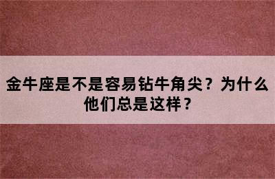 金牛座是不是容易钻牛角尖？为什么他们总是这样？