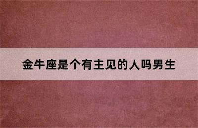 金牛座是个有主见的人吗男生