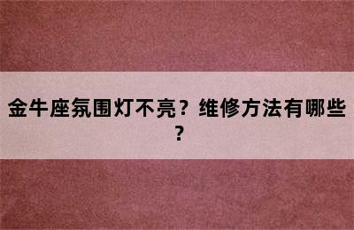 金牛座氛围灯不亮？维修方法有哪些？