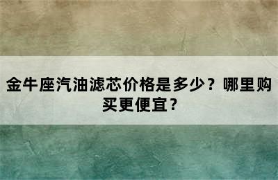 金牛座汽油滤芯价格是多少？哪里购买更便宜？