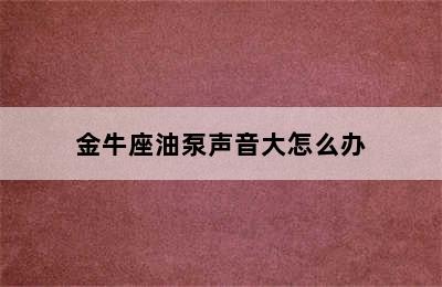 金牛座油泵声音大怎么办