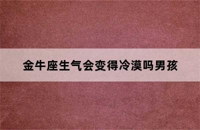 金牛座生气会变得冷漠吗男孩