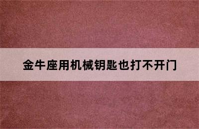 金牛座用机械钥匙也打不开门