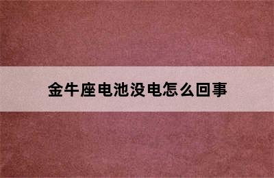 金牛座电池没电怎么回事