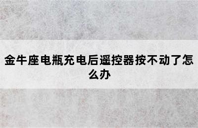 金牛座电瓶充电后遥控器按不动了怎么办