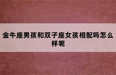 金牛座男孩和双子座女孩相配吗怎么样呢