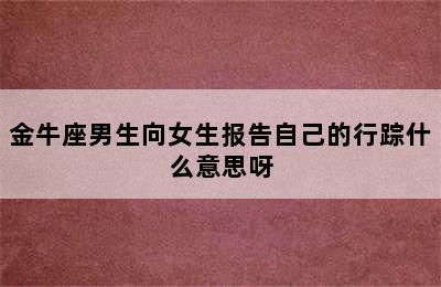 金牛座男生向女生报告自己的行踪什么意思呀