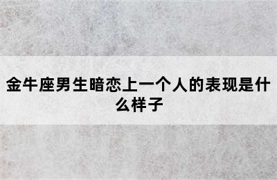 金牛座男生暗恋上一个人的表现是什么样子