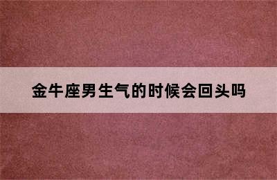 金牛座男生气的时候会回头吗