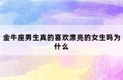 金牛座男生真的喜欢漂亮的女生吗为什么