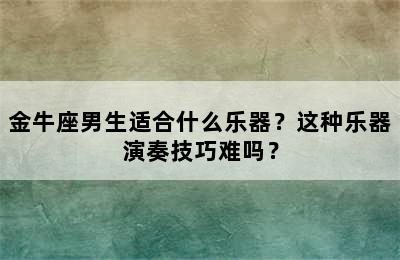 金牛座男生适合什么乐器？这种乐器演奏技巧难吗？
