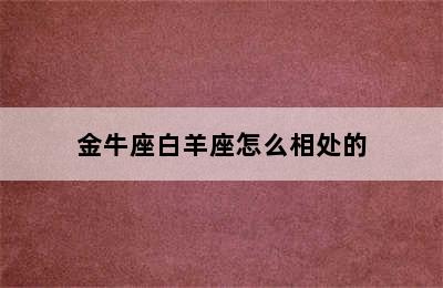 金牛座白羊座怎么相处的