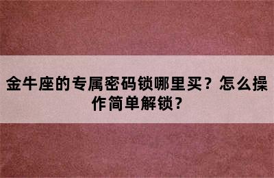 金牛座的专属密码锁哪里买？怎么操作简单解锁？