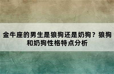 金牛座的男生是狼狗还是奶狗？狼狗和奶狗性格特点分析