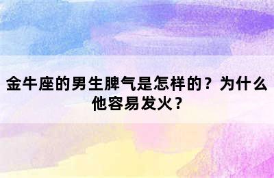 金牛座的男生脾气是怎样的？为什么他容易发火？