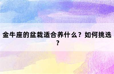金牛座的盆栽适合养什么？如何挑选？