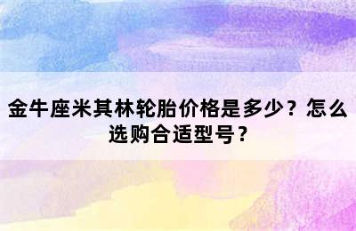 金牛座米其林轮胎价格是多少？怎么选购合适型号？