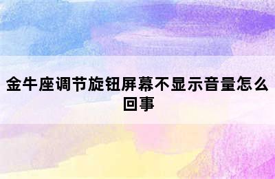 金牛座调节旋钮屏幕不显示音量怎么回事