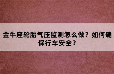 金牛座轮胎气压监测怎么做？如何确保行车安全？
