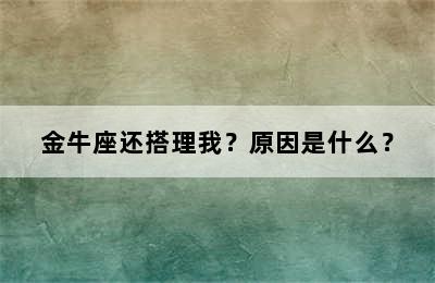 金牛座还搭理我？原因是什么？