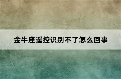 金牛座遥控识别不了怎么回事