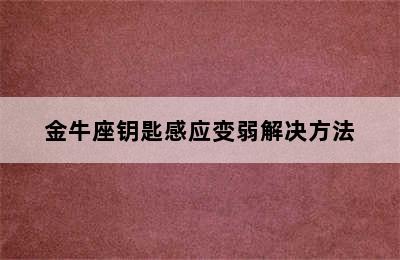 金牛座钥匙感应变弱解决方法