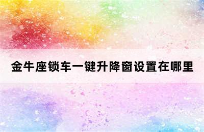 金牛座锁车一键升降窗设置在哪里