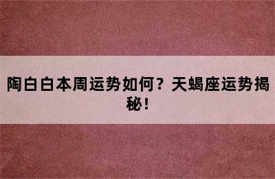 陶白白本周运势如何？天蝎座运势揭秘！