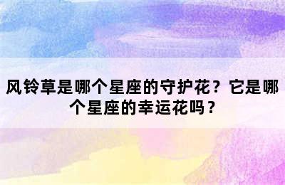 风铃草是哪个星座的守护花？它是哪个星座的幸运花吗？