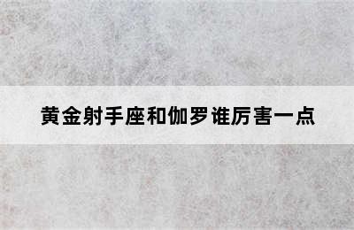 黄金射手座和伽罗谁厉害一点