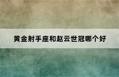 黄金射手座和赵云世冠哪个好